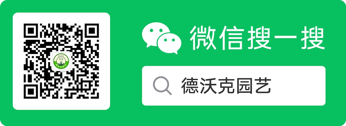 微信服务号二维码
